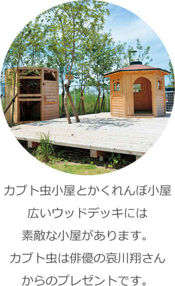 カブト虫小屋とかくれんぼ小屋 広いウッドデッキには素敵な小屋があります。カブト虫は俳優の哀川翔さんからのプレゼントです。
