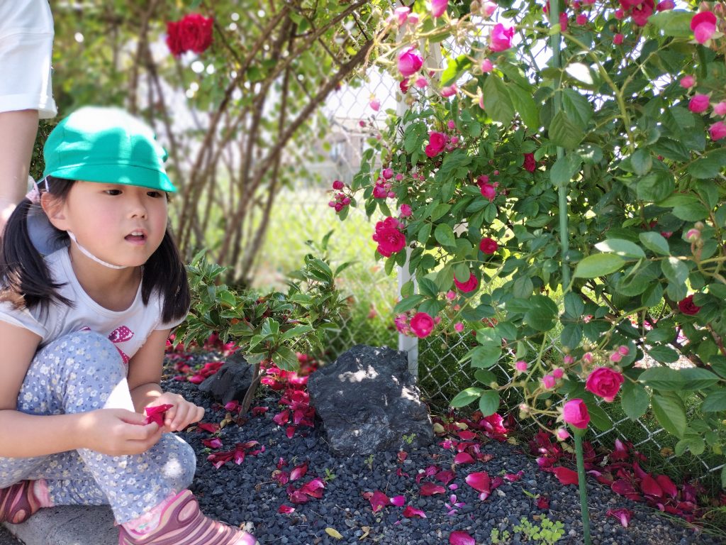 画像に alt 属性が指定されていません。ファイル名: IMG20250605104350-1024x768.jpg